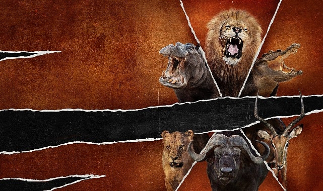 İzleyicileri Unutulmaz Bir Safari Seyahatine Çıkaracak Olan ‘Ölümcül Safari’ 1 Eylül Pazar Günü 20.00’de National Geographic WILD Ekranlarında!