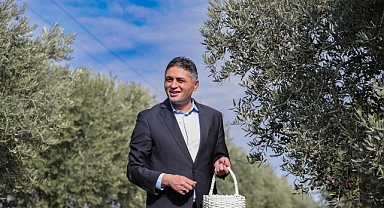 Aliağa’da Zeytinin Bereketi 4.Zeytin Hasat Şenliği’nde Kutlandı