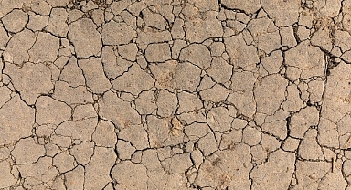 TEMA Vakfı: Toprak Yoksa Su, Su Yoksa Gıda Yok!